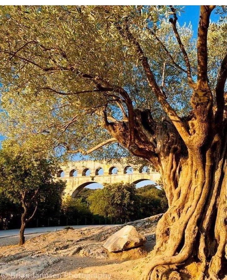 Suite Spa Acces Autonome Beaucaire  Εξωτερικό φωτογραφία